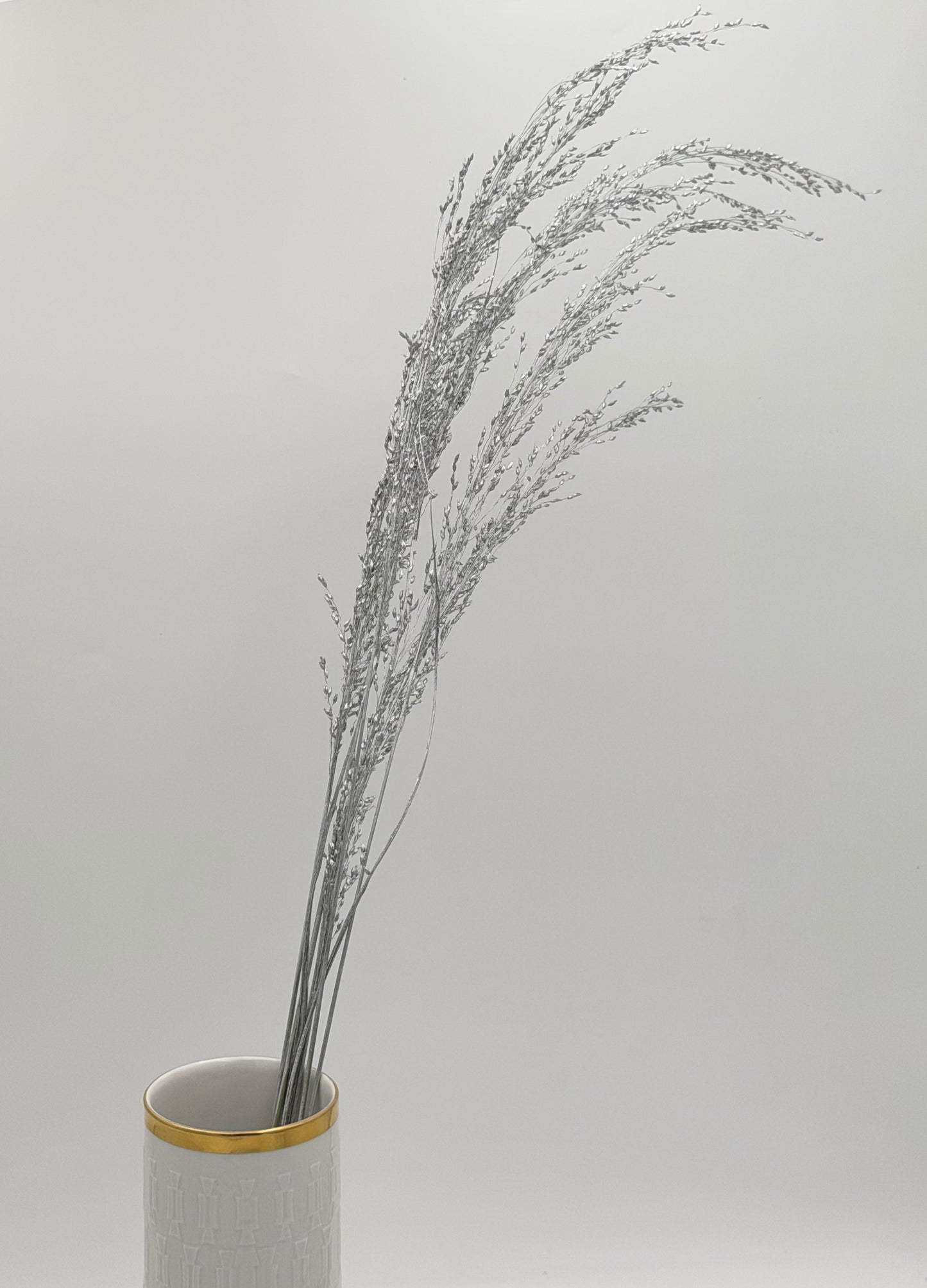 Panicum Ziergras silber 5er