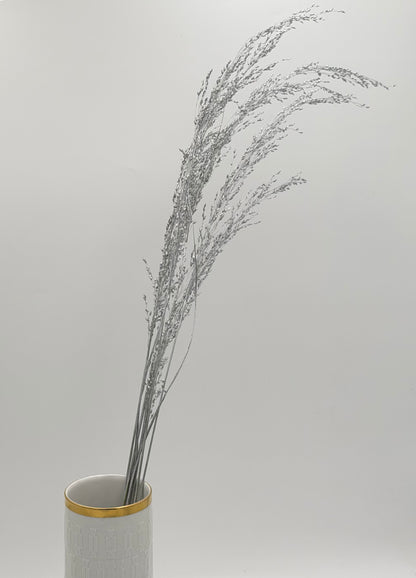 Panicum Ziergras silber 5er