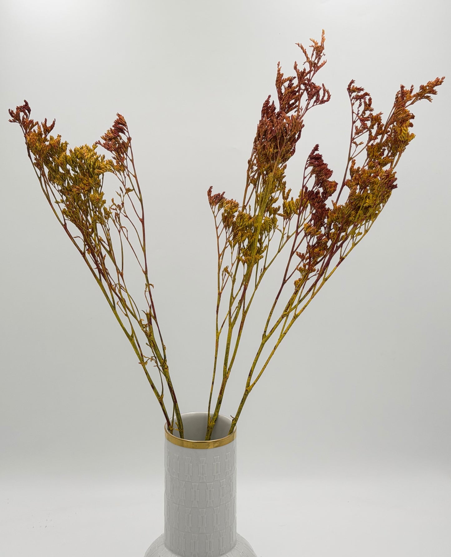 Limonium gelb braun