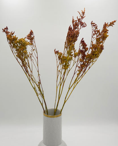 Limonium gelb braun