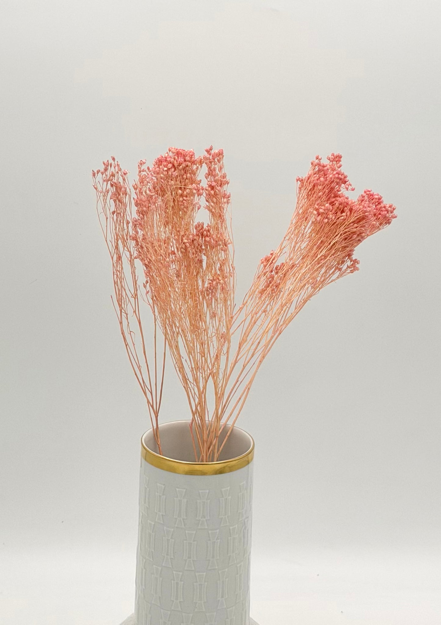 Broom Bloom rosa