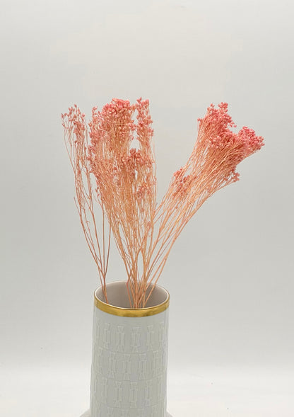 Broom Bloom rosa