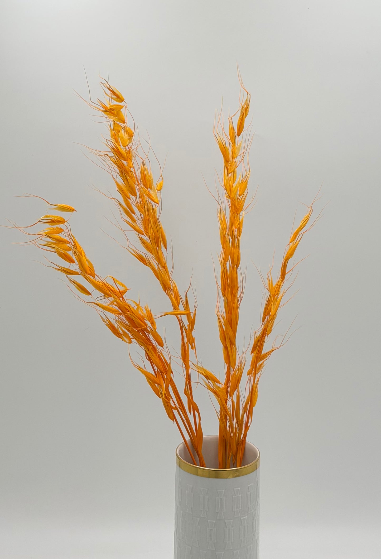 Hafer wild orange 5er