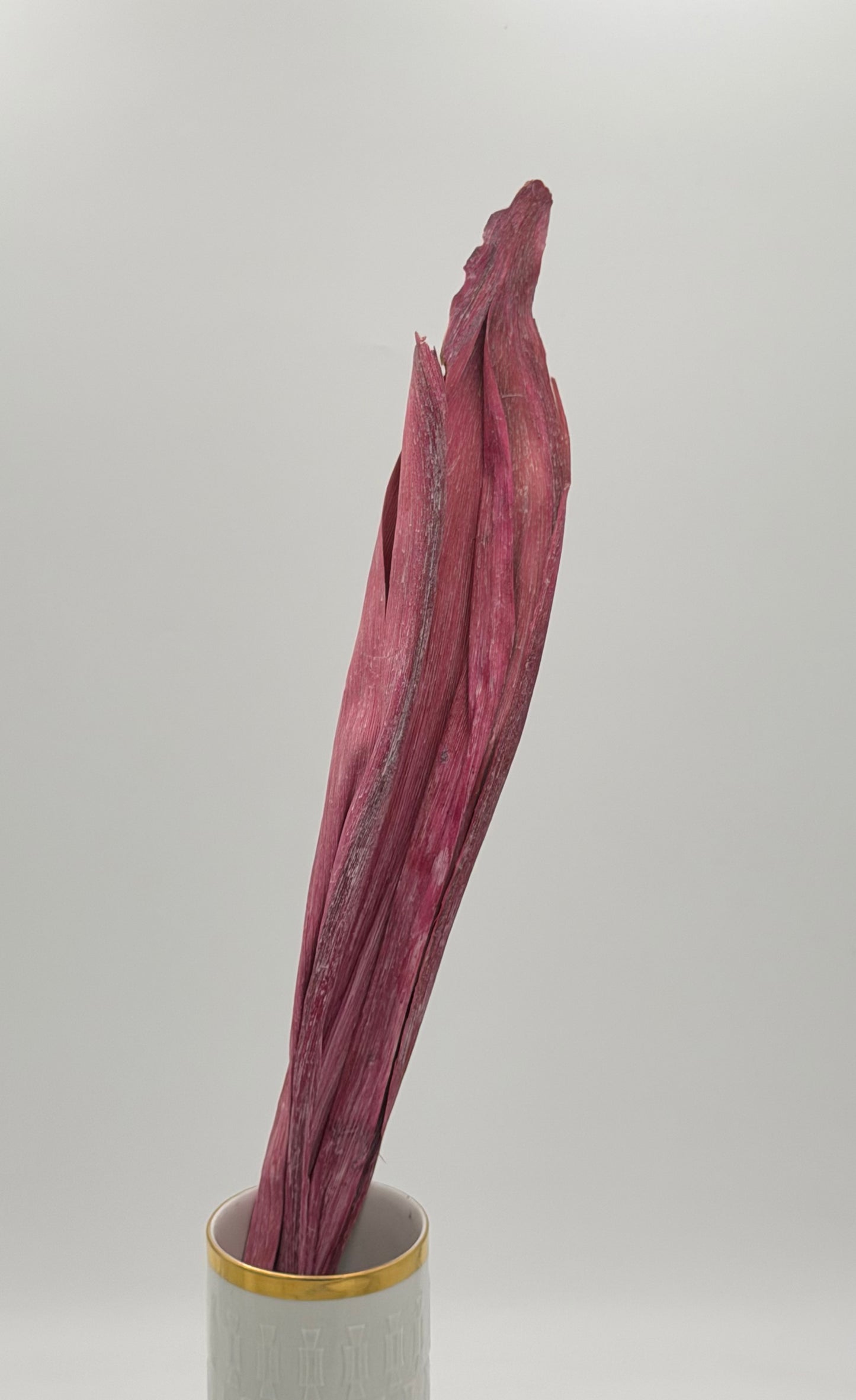 Langes Blatt lila