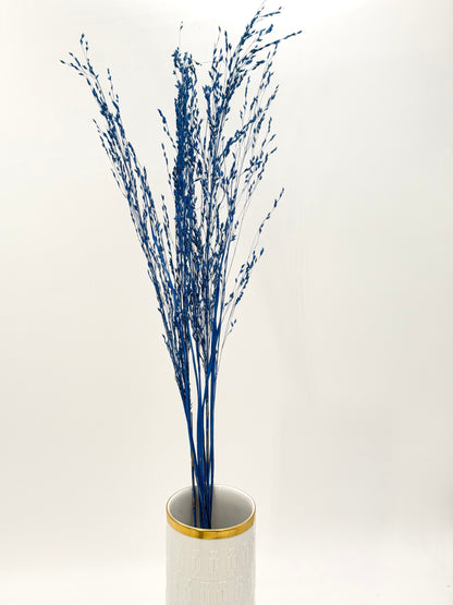 Panicum Ziergras blau 5er