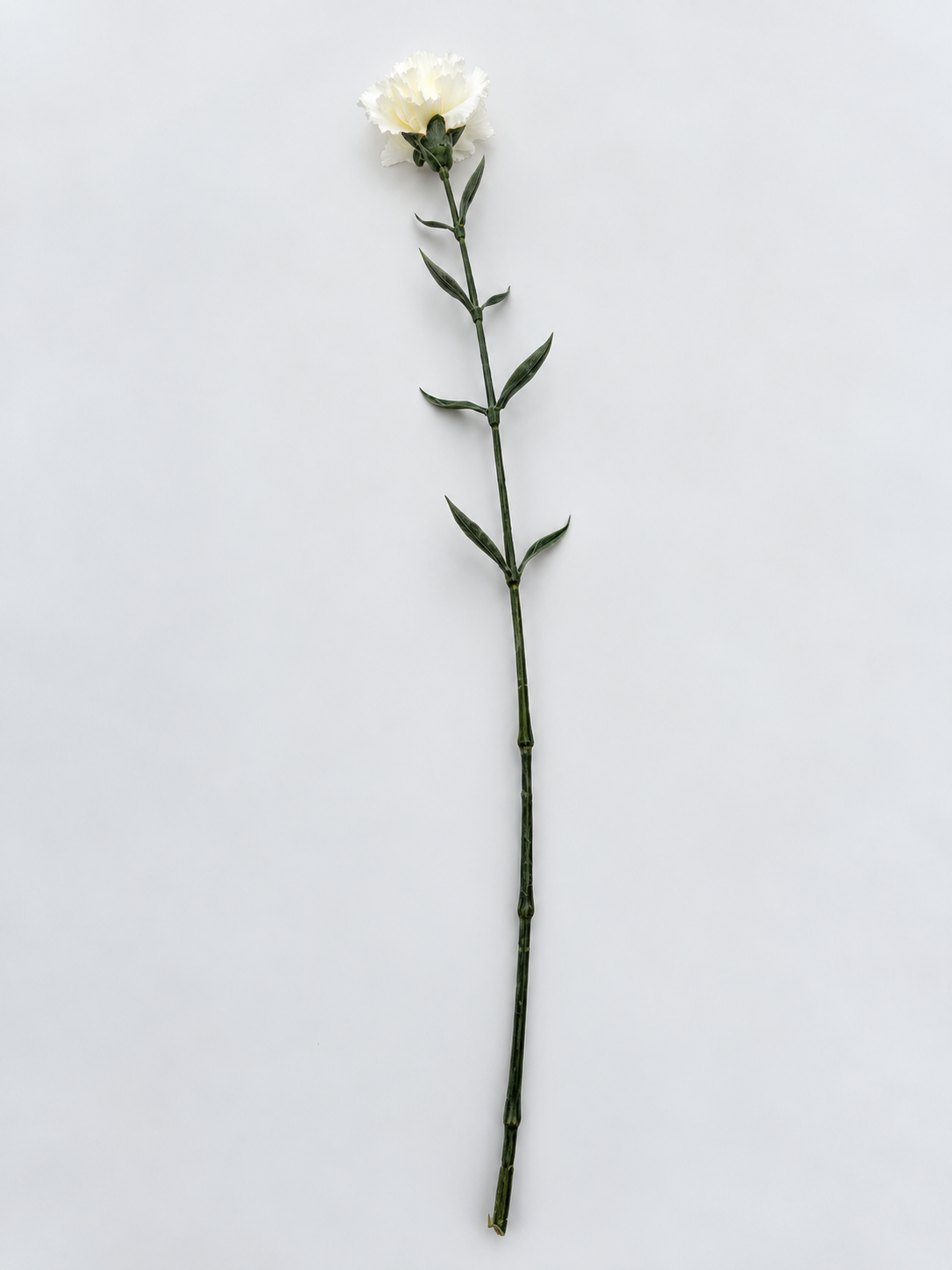 Künstliche Nelke Weiß Creme 66 cm