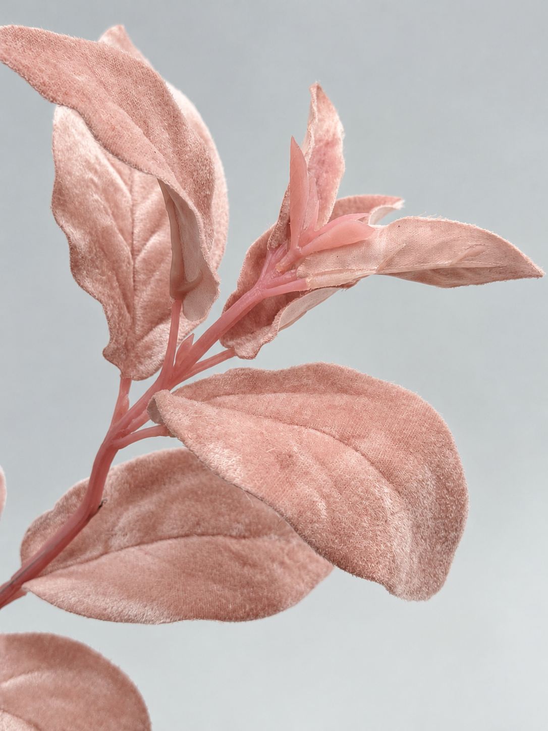 Künstlicher Samt-Blätterzweig Lammohr Rosa Velvet 66 cm