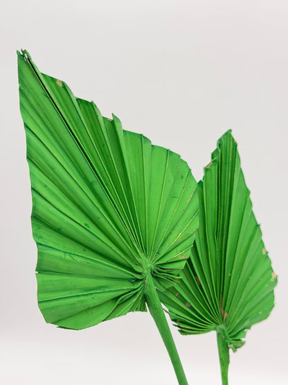 Palmblatt grün 3er