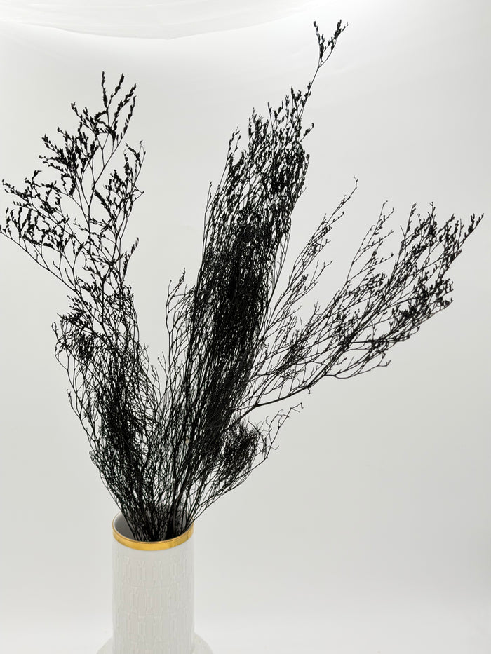 Limonium schwarz