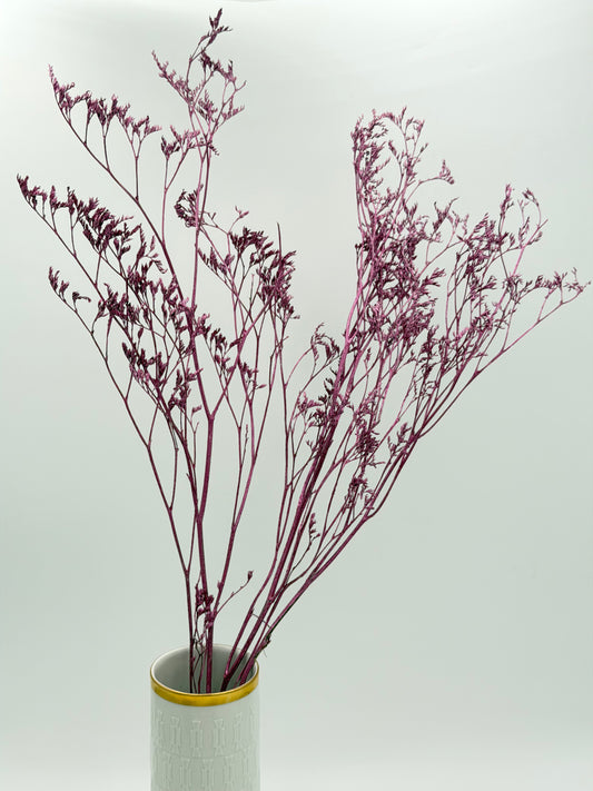 Limonium rosa lila metallic