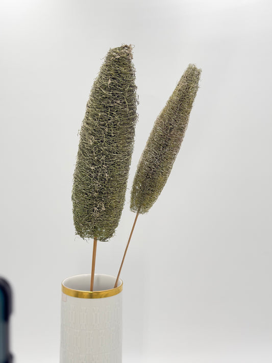 Luffa am Holzstab grün 2 Stück