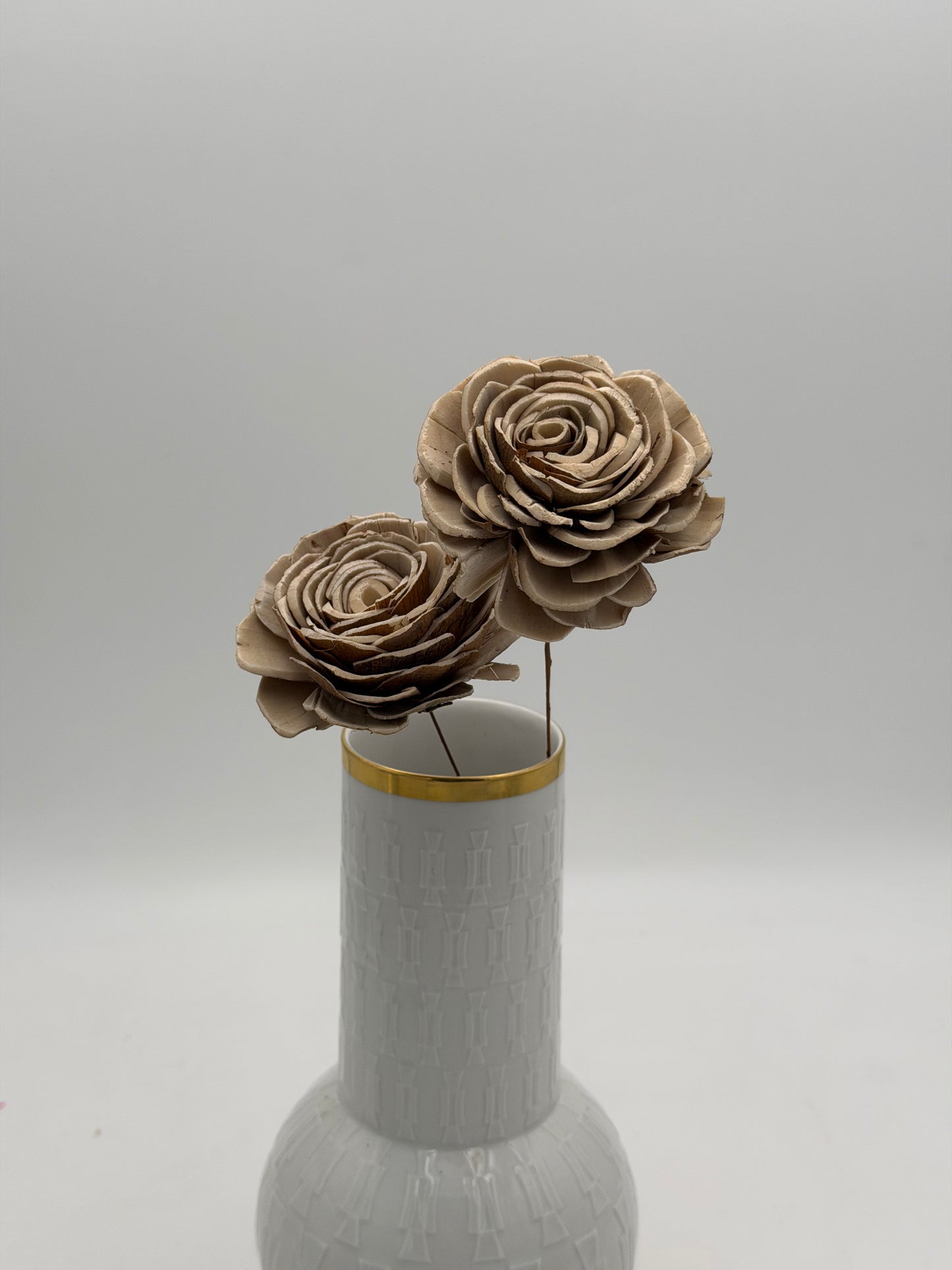 Blüte Sola am Draht beige Baileys 2 Stück