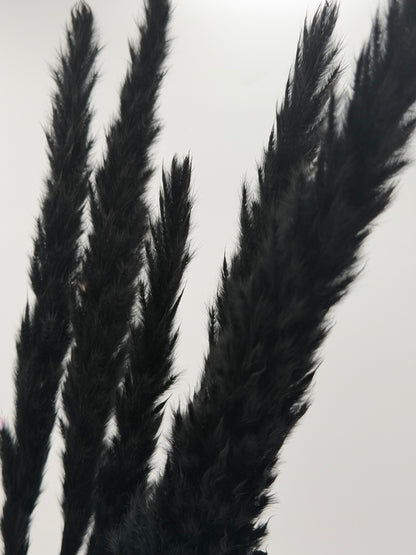 Pampas Stiel dünn schwarz 5 Stück