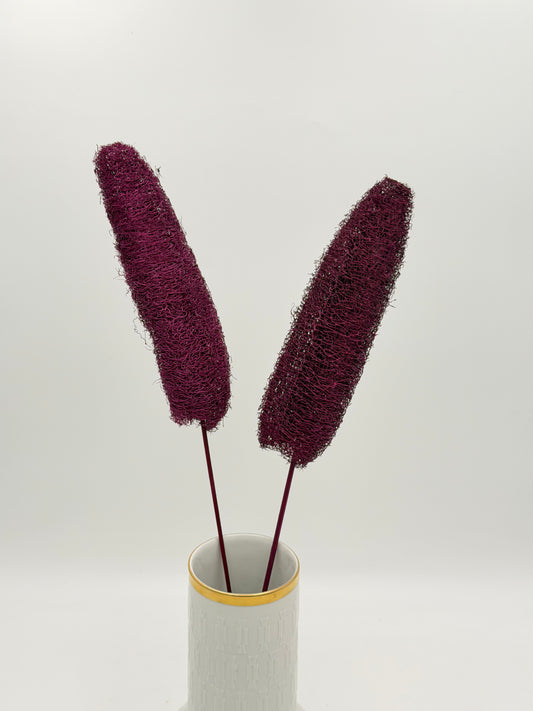 Luffa am Holzstab lila 2 Stück