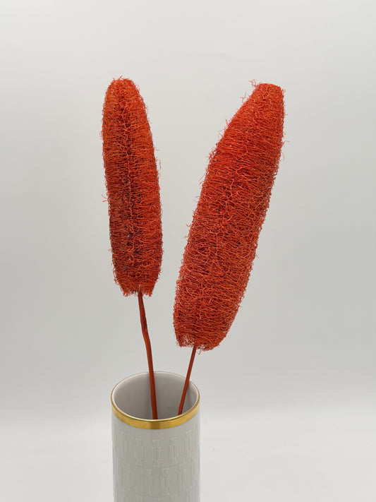 Luffa am Holzstab orange 2 Stück