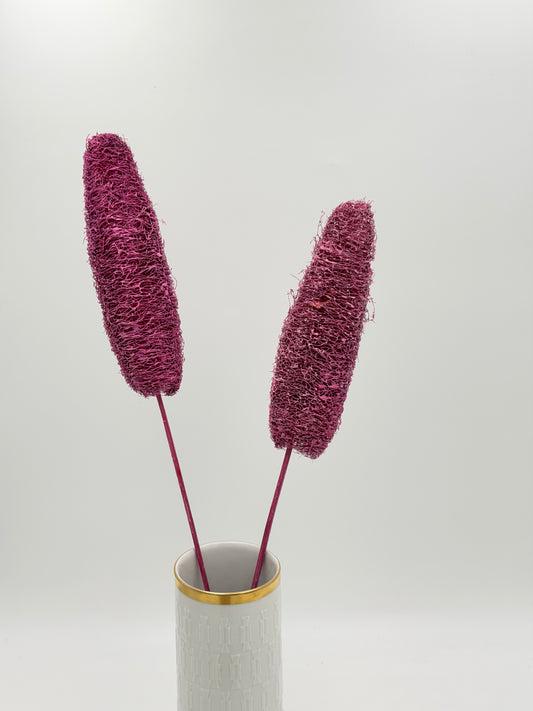 Luffa am Holzstab rosa 2 Stück