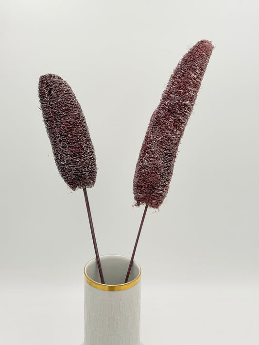 Luffa am Holzstab flieder 2 Stück