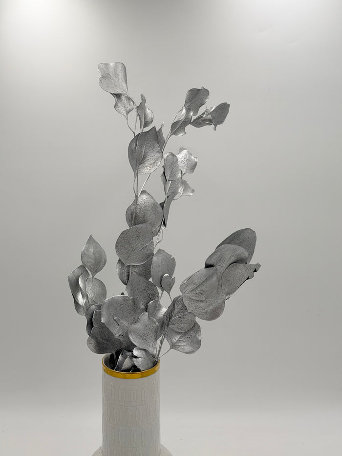 Eukalyptus Populus stabilisiert Silber