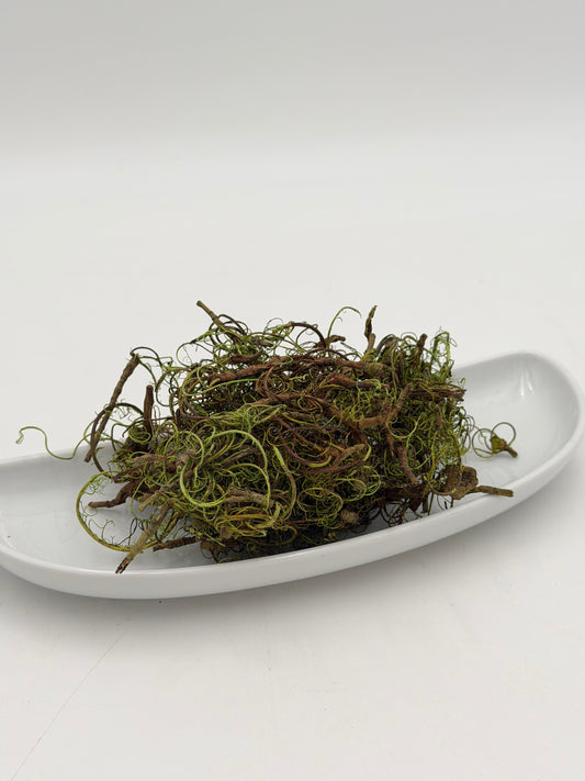 Curlymoos grün 20 Gramm