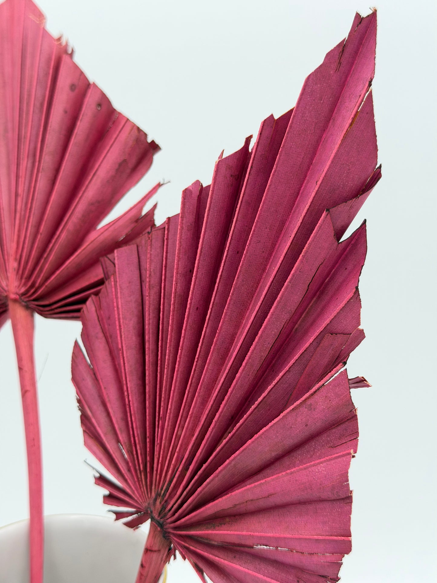 Palmblatt rosa mauve 3er