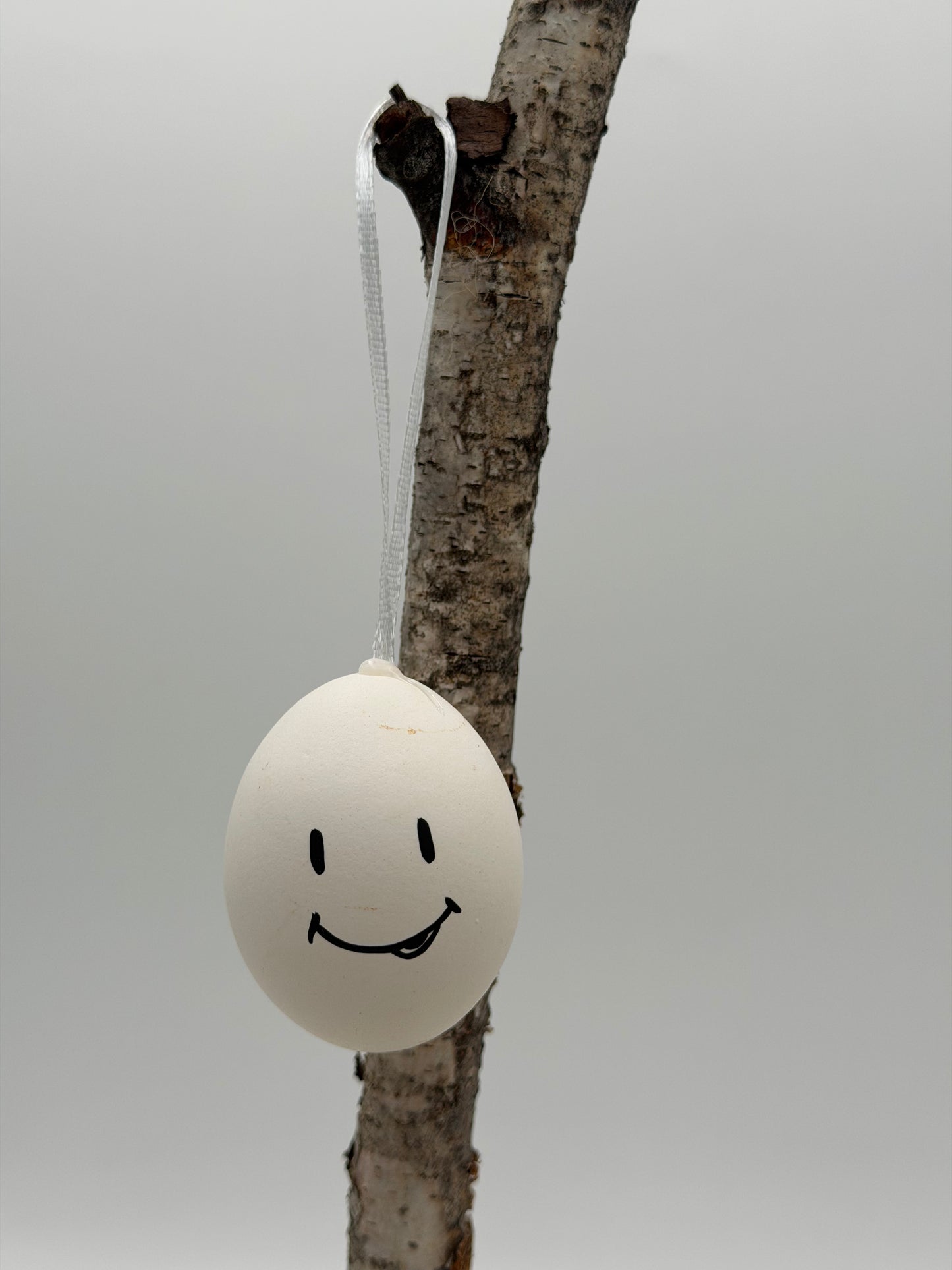 12 Stück Ostereier zum Hängen mit Gesicht Smiley
