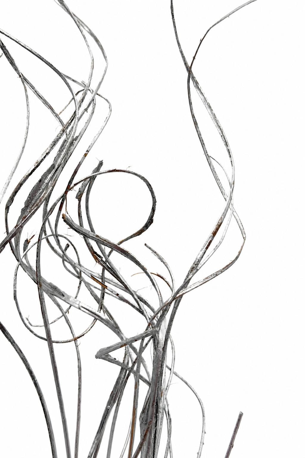 Curly Ting Ting getrocknet silber