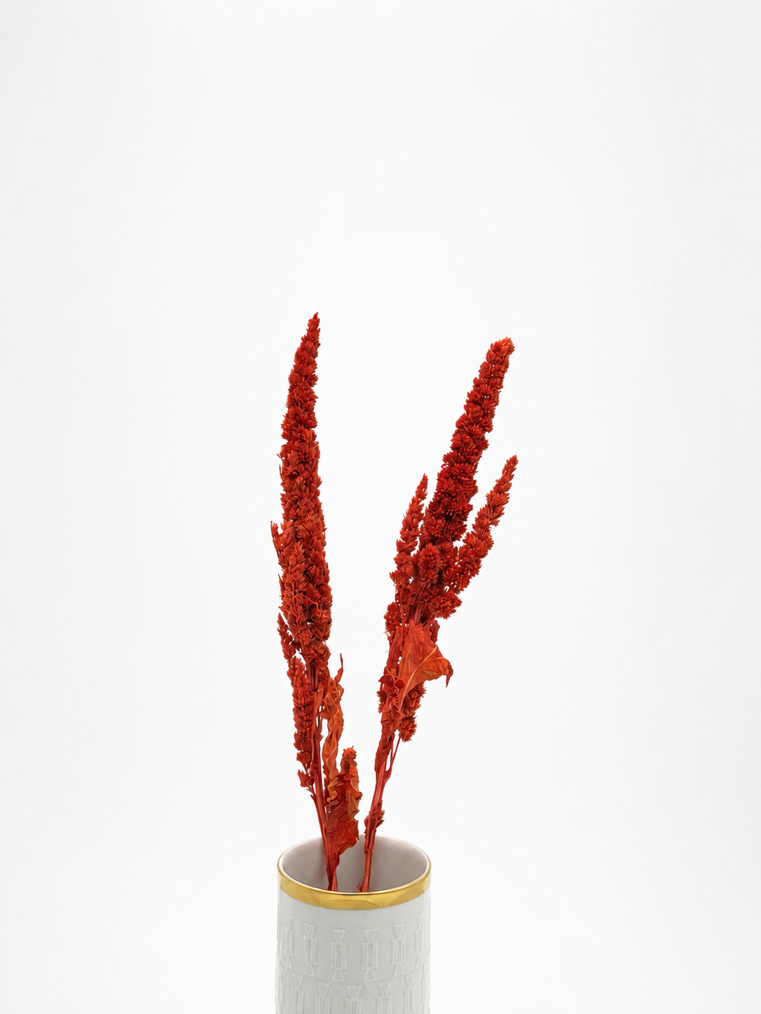 Amaranthus orange