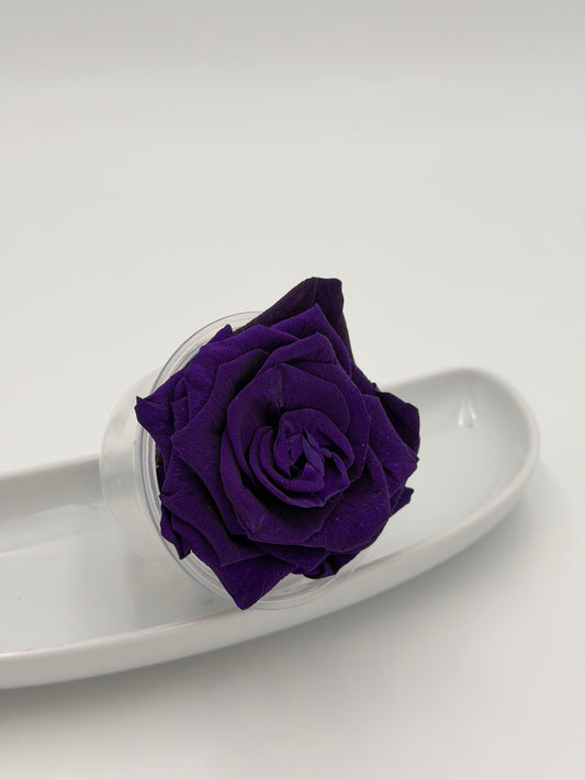Blüte Infinity Rose dijou dunkellila purple 1 Stück