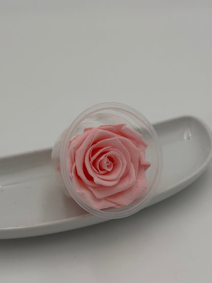Blüte Infinity Rose dijou rosa rosewood 1 Stück