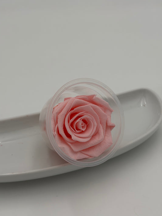 Blüte Infinity Rose dijou rosa rosewood 1 Stück