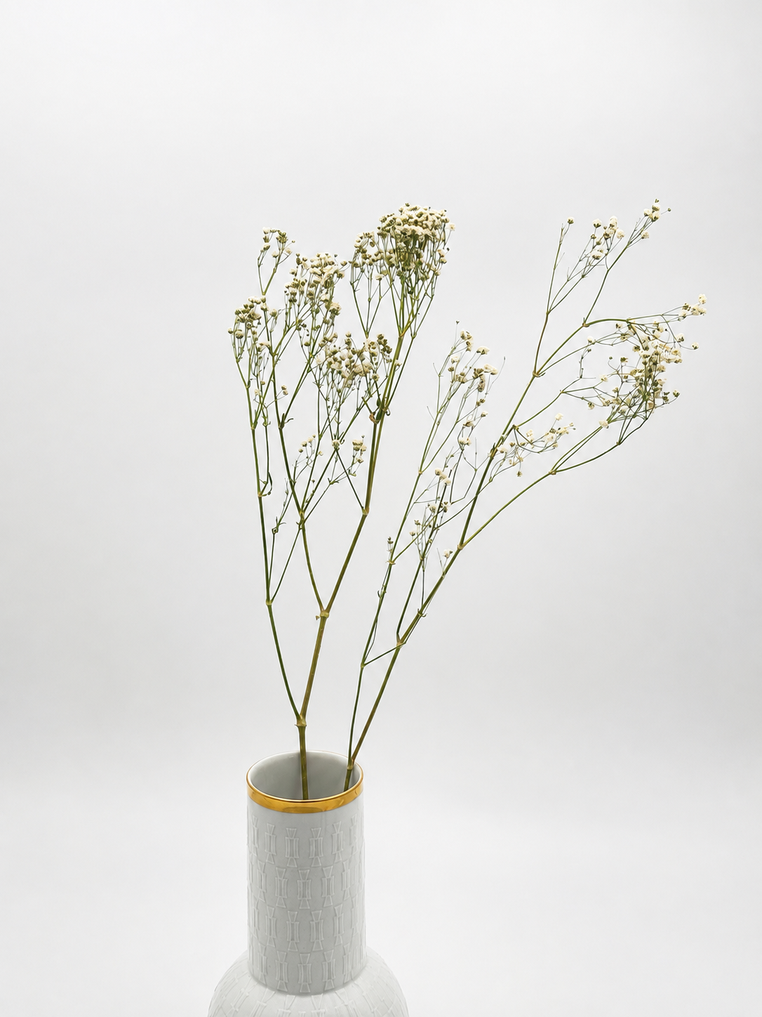 Schleierkraut Gypsophila weiß