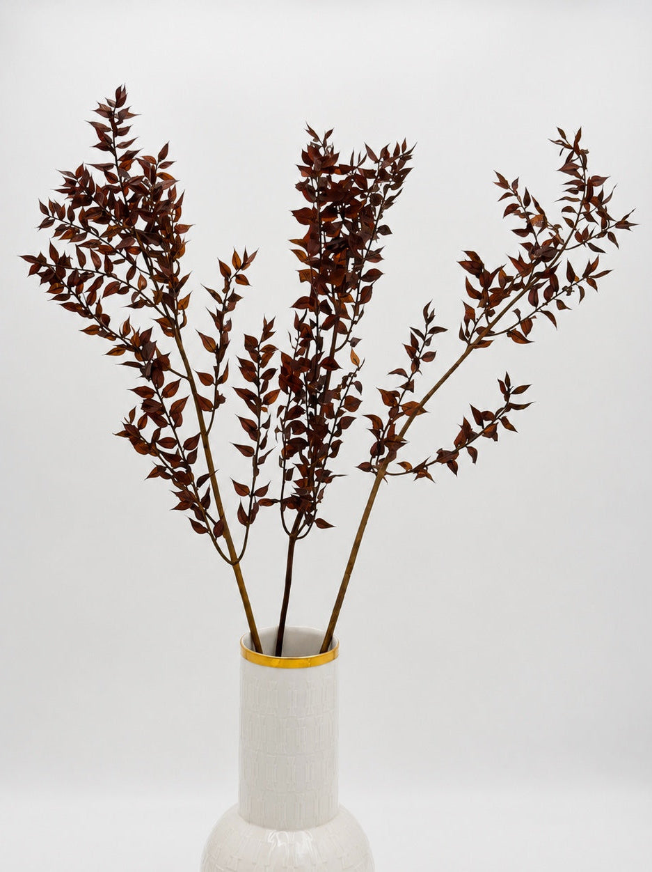 Ruscus dunkelbraun