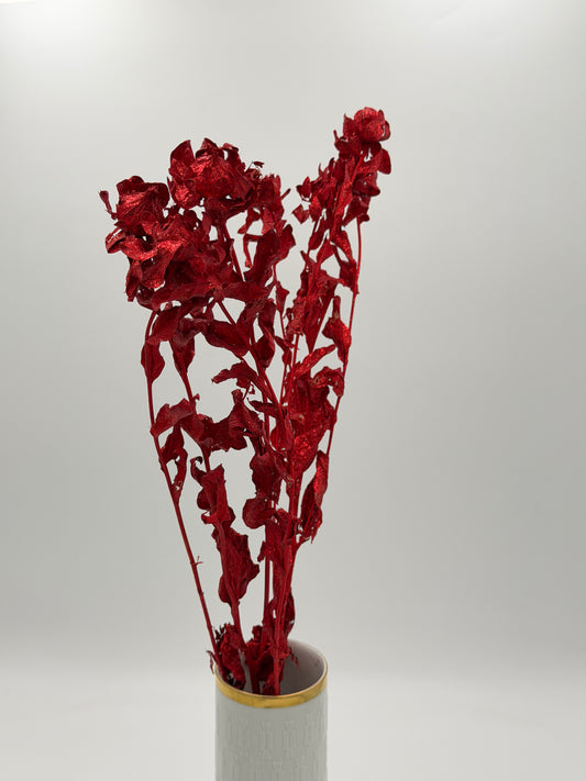 Carthamus rot Glitzer