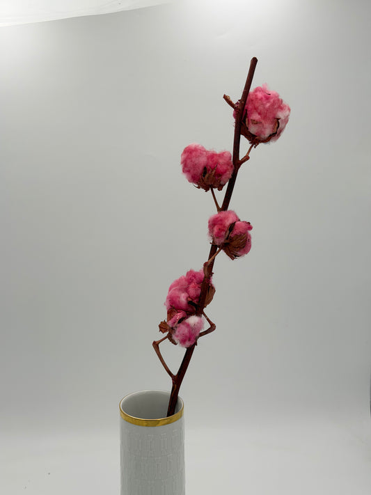 Baumwolle rosa 50 cm