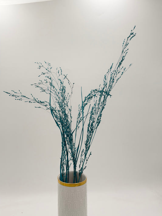 Panicum Ziergras türkis 5er