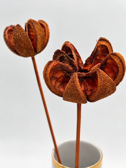 Bullet Blume am Stiel orange 2 Stück