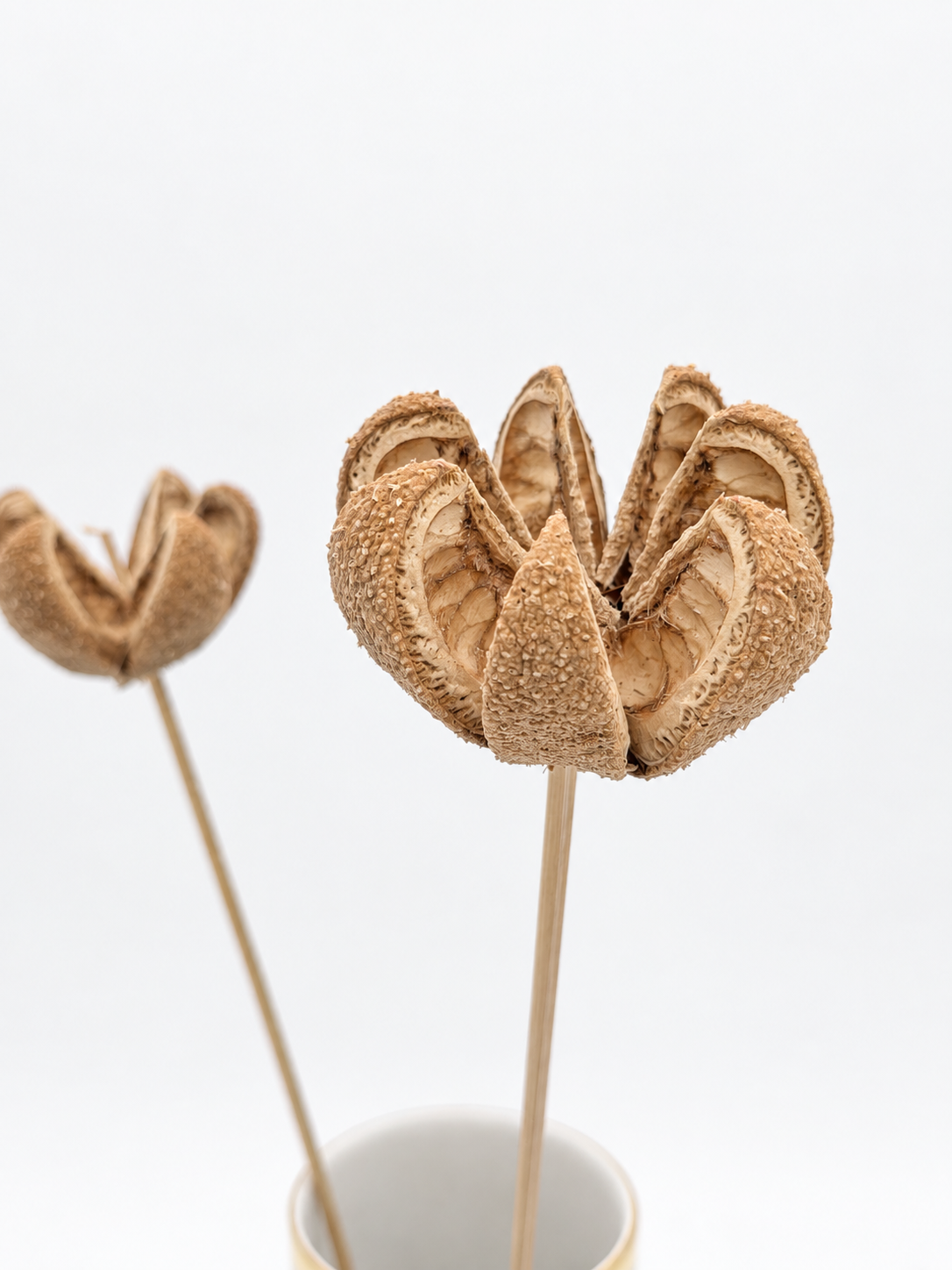 Bullet Blume am Stiel Natur 2 Stück