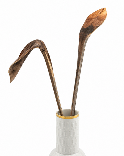 Hornspeer Natur braun 50 cm