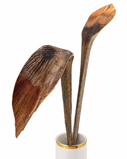 Hornspeer Natur braun 50 cm