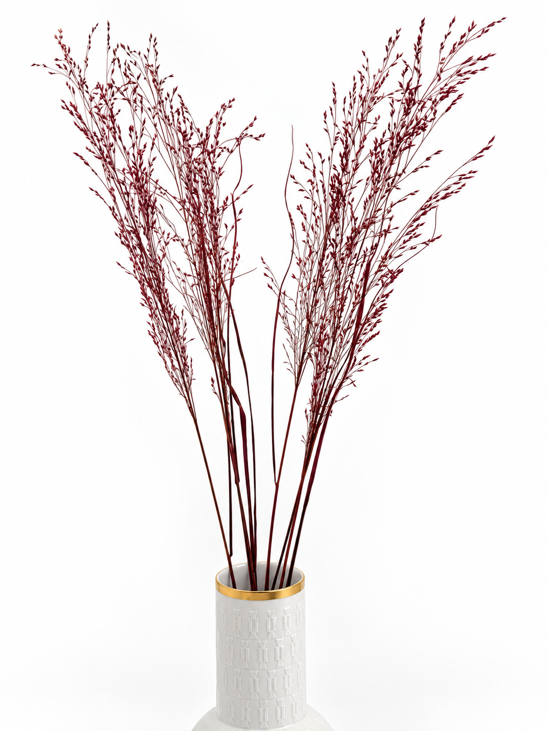 Panicum Ziergras bordeaux 5er