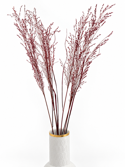 Panicum Ziergras bordeaux 5er