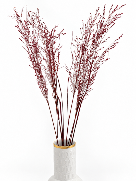 Panicum Ziergras bordeaux 5er