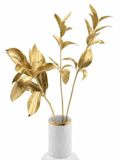 Ruscus großblättrig gold