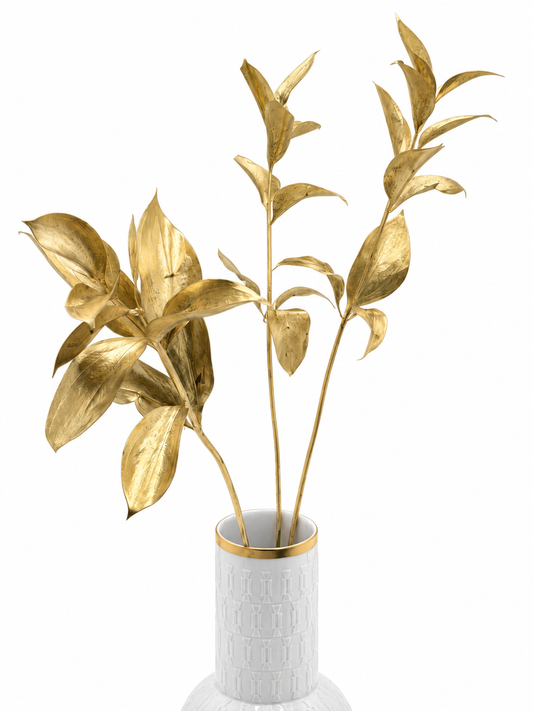 Ruscus großblättrig gold