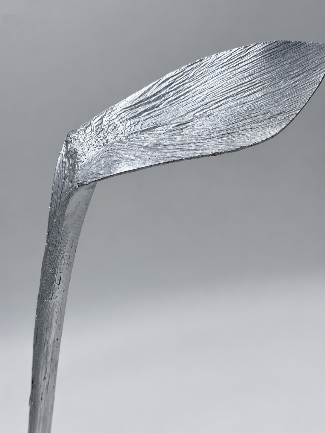 Hornspeer silber 50 cm