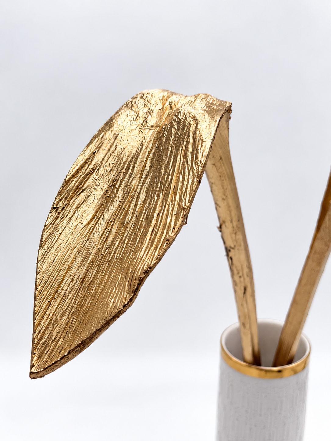 Hornspeer gold 50 cm