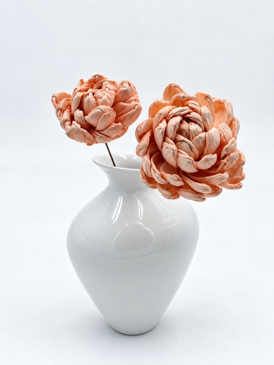Blüte Dahlie Sola am Draht Apricot Peach