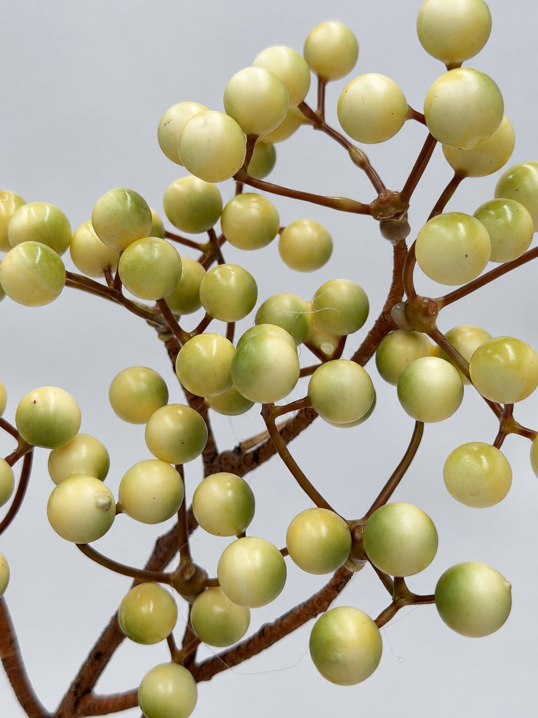 Künstlicher Beerenzweig Creme-Grün 45 cm