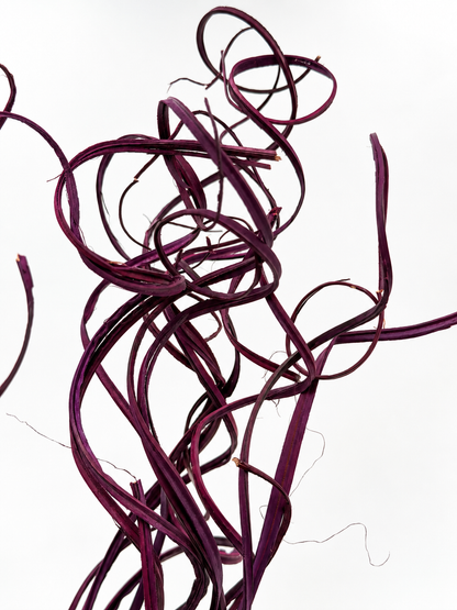 Curly Ting Ting getrocknet lila beere Aubergine