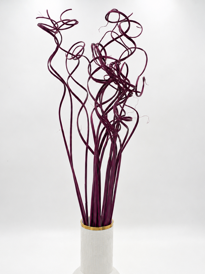 Curly Ting Ting getrocknet lila beere Aubergine